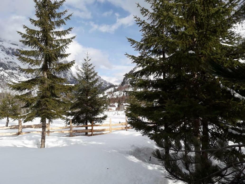 Valbona Eco Camping Hotell Exteriör bild